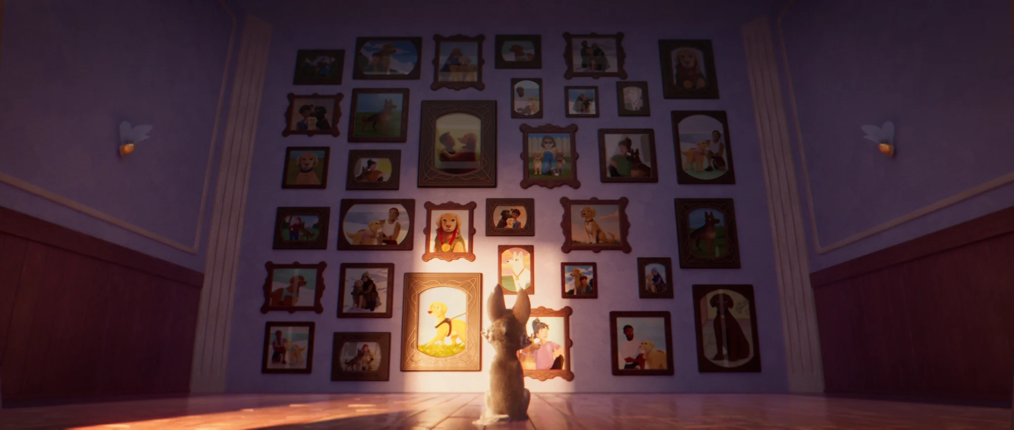 Un cachorro, de espaldas, contempla una pared llena de retratos enmarcados de perros guía con sus personas, iluminada por un rayo de luz.