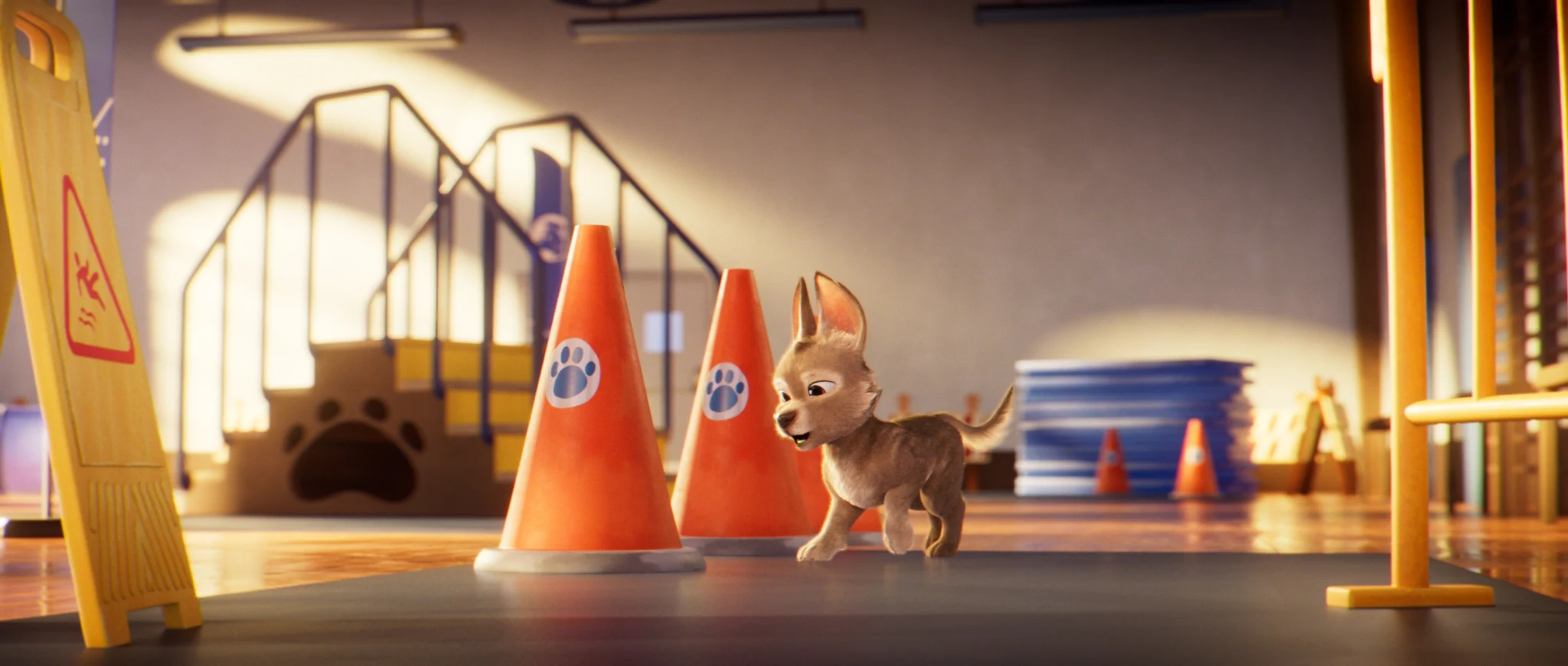 Un cachorro avanza entre conos naranjas en un gimnasio de entrenamiento.